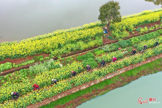 光明网视频 湖南衡阳:骑行春天里