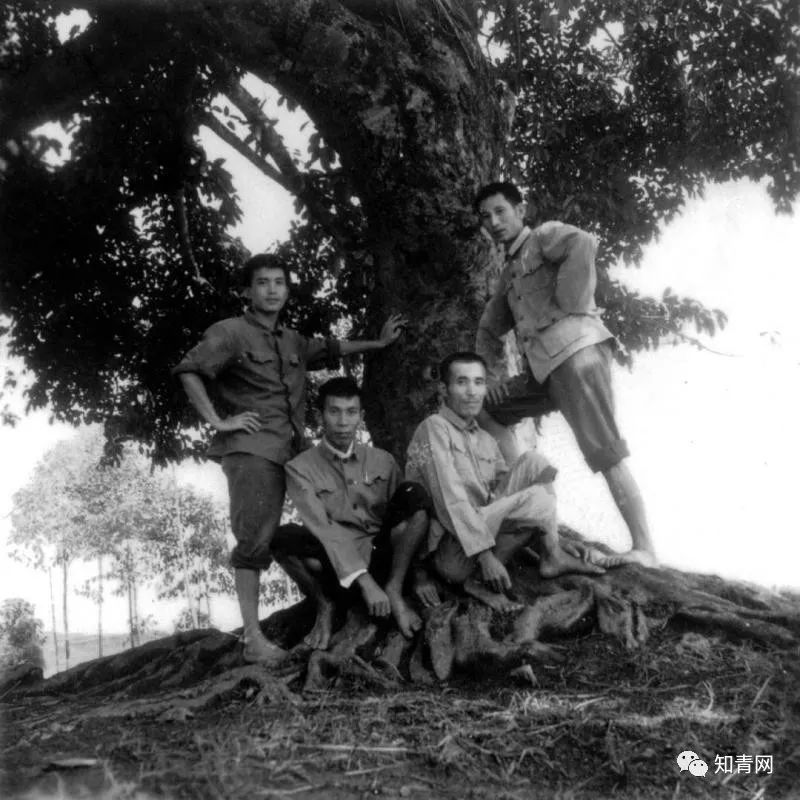 颇有微言 关于50后，看完其经历，你服不服？