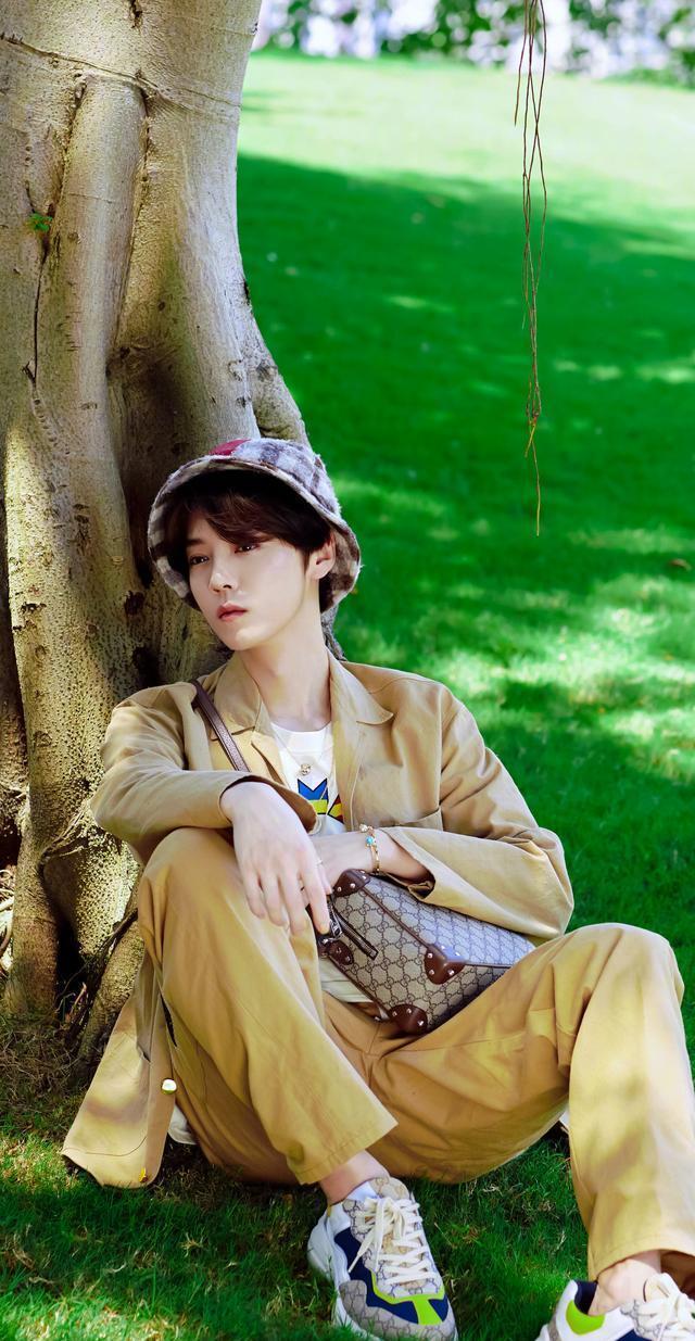 姚安娜|八卦：鹿晗，王凯，高圆圆，孙俪，王一博，姚安娜，吴磊，蔡徐坤