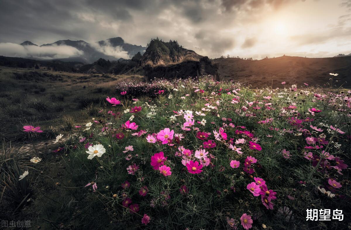 案件通报 成功交易者的秘密——心有多大，舞台就有多宽