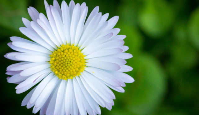 机器人|人心难测,要想与人交往不吃亏,记住这四戒