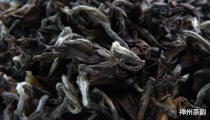 神州茶韵 乌龙茶分类大全，喜欢乌龙的入门必备基础知识