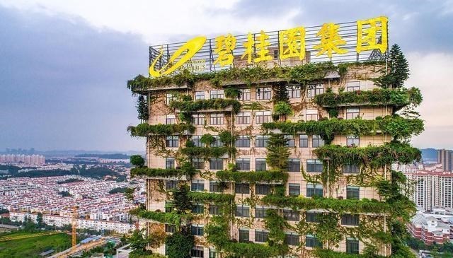 |恒大背后站着刘銮雄，但碧桂园背后的更厉害，公布的身价达2000亿