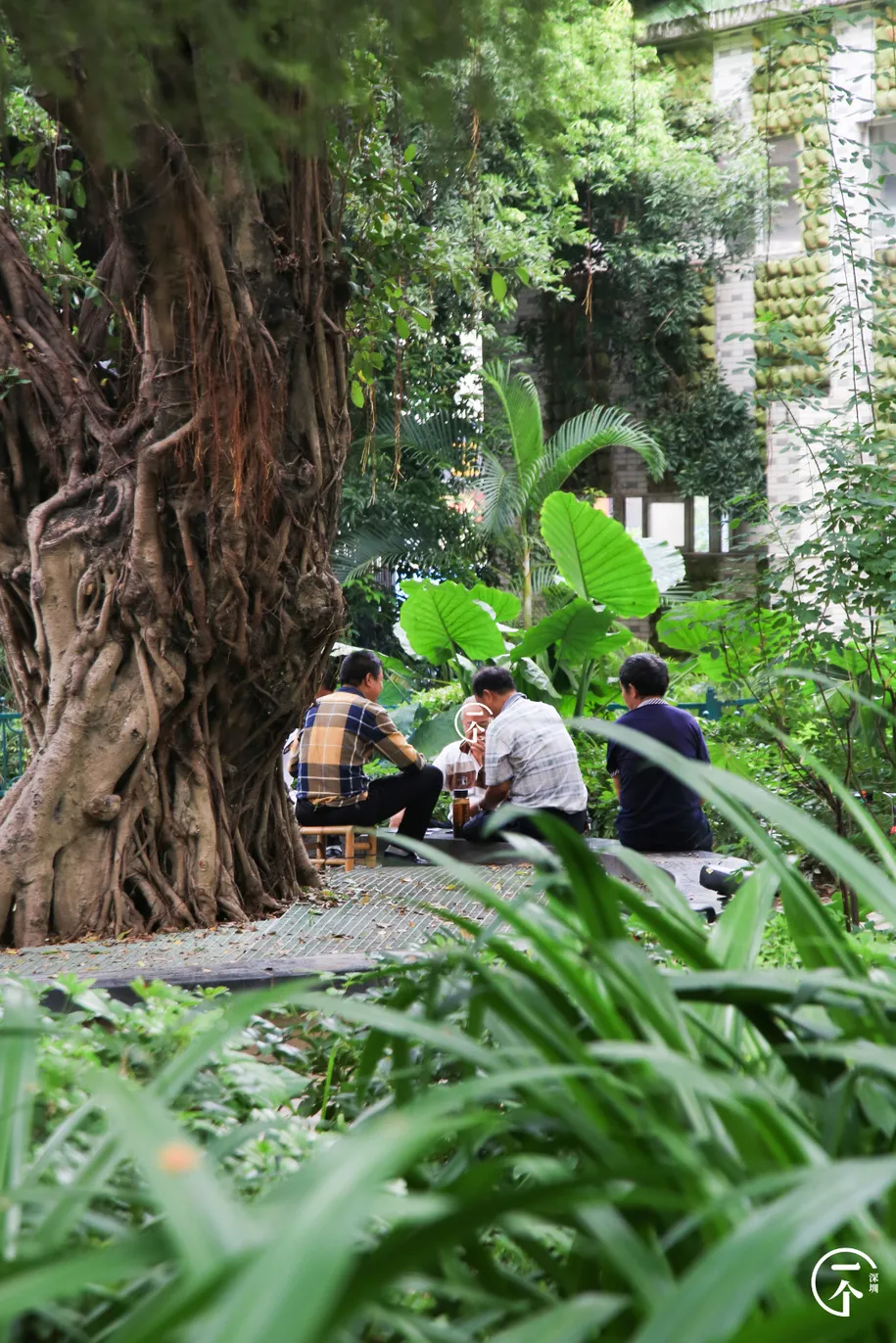 |民治，福田靓仔靓女的后花园？