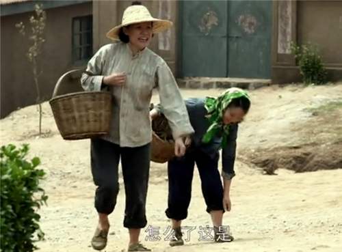 蒋雯丽|看了这么多遍《父母爱情》竟不知剧中还有蒋雯丽，实情却让人意外