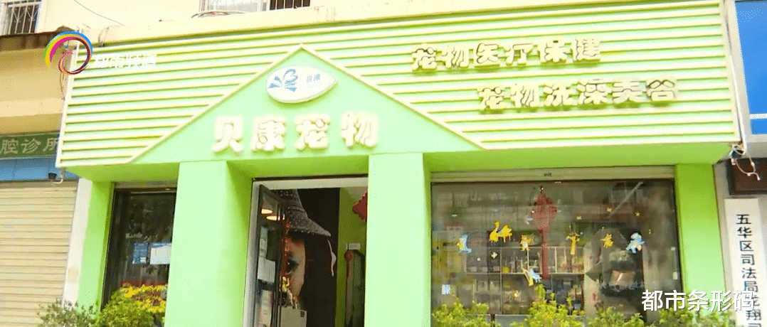 山海经 秋季犬只狂犬病强制免疫开始了！