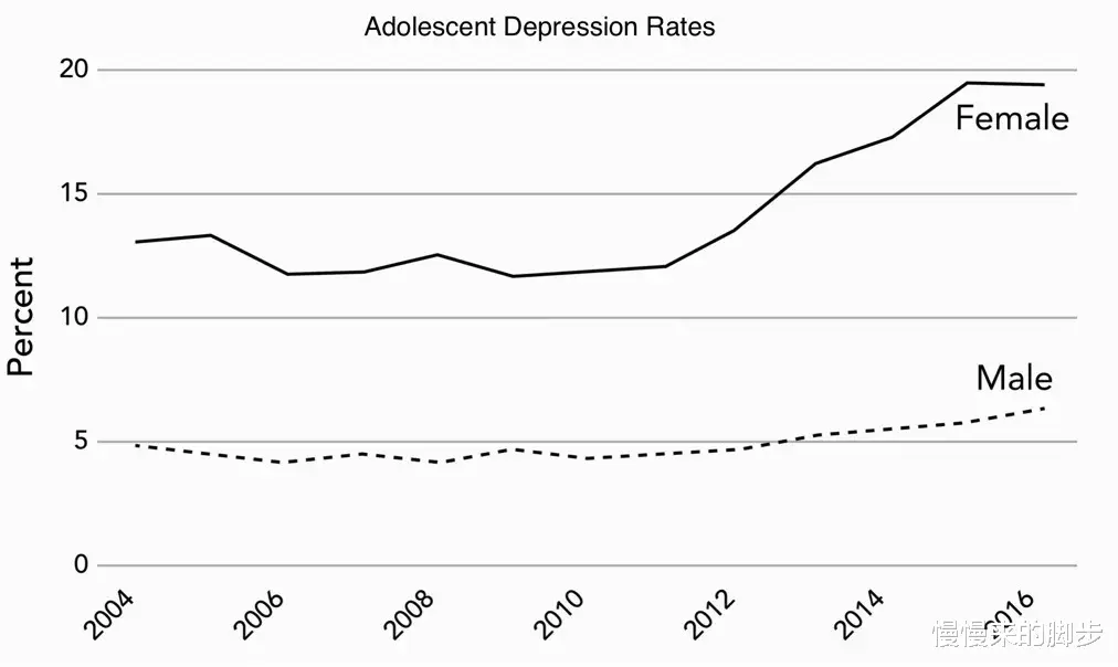 慢慢来的脚步|我们为什么越来越容易激动了？