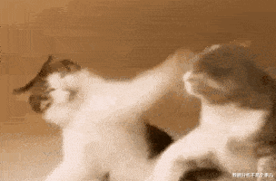 高性能计算|IT报表开发者必看:别加班了,快用这个神器提高报表开发效率