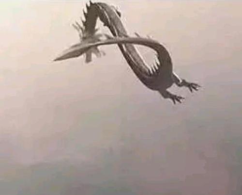 菜菜叶|科学家推测龙真的存在,2000年黑山子的坠龙事件可能是证据