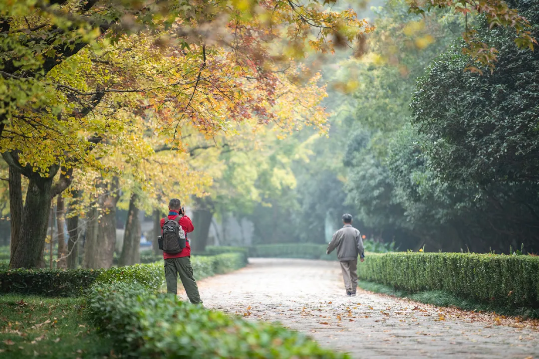 一马平天下 南京的大爷大妈，文武双全！