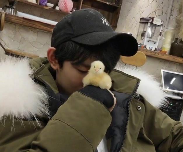 王源|王源喜提新宠物，比“拇指姑娘”还娇小，对爱宠亲亲画面羡煞粉丝