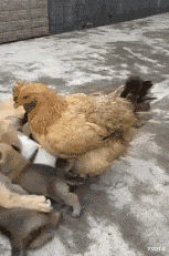 时尚炫点|抽了半个小时烟,还是想不通她为什么要跟我分手