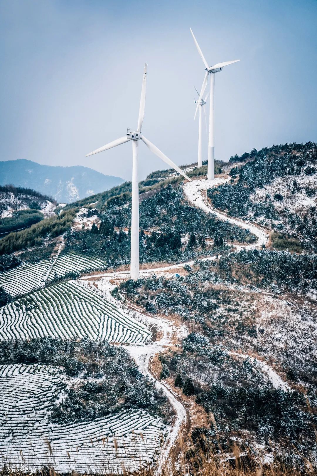 越野赛|他:农民、高中毕业,不但爱跑步,还自己办比赛,一个跑痴