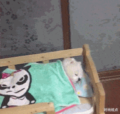 时尚炫点 “去蹦迪的女孩子怎么都这么好看？”