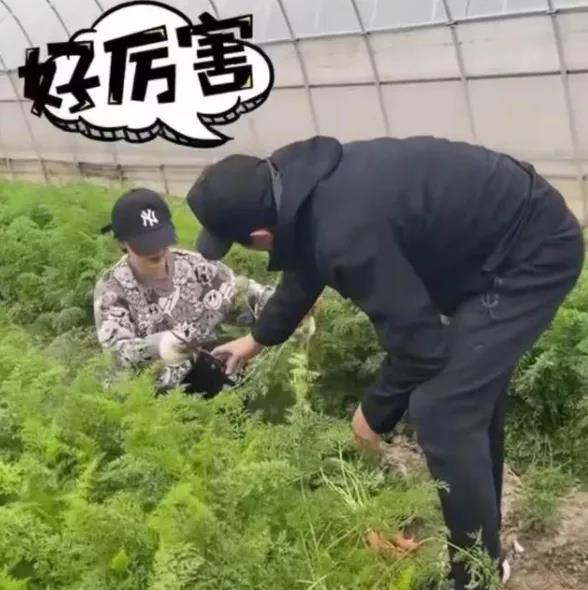 曾舜晞|曾舜晞，张雨绮，黄景瑜，王嘉被公司力捧？邓超孙俪不营销了？