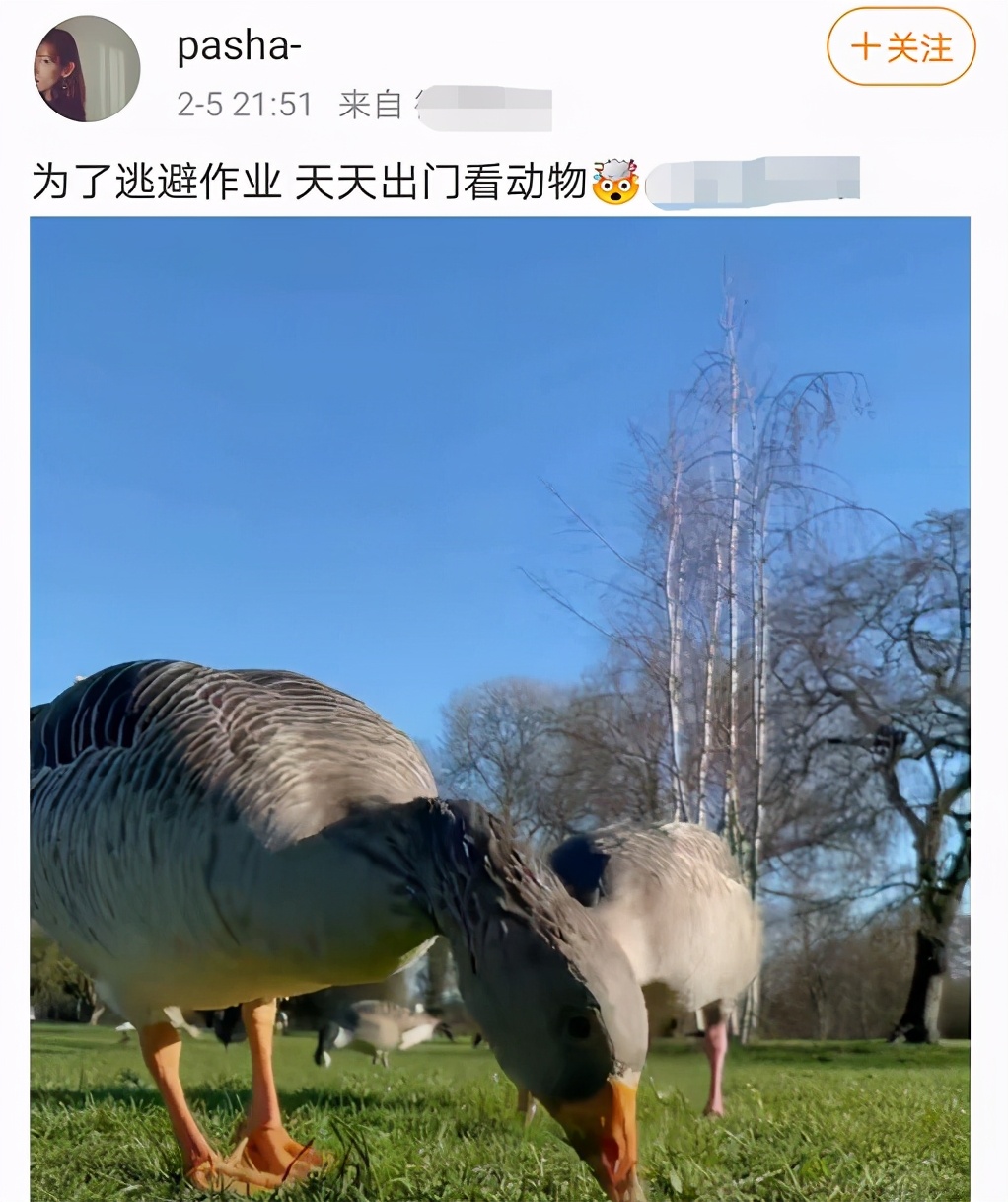 尼格买提|尼格买提妻子留海外过年，饭菜朴素显心酸，与老公六年无互动