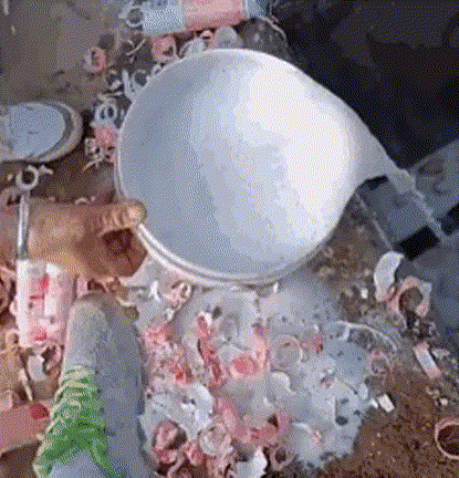 谢娜|国家出手！吴亦凡背后的金主，凉了！