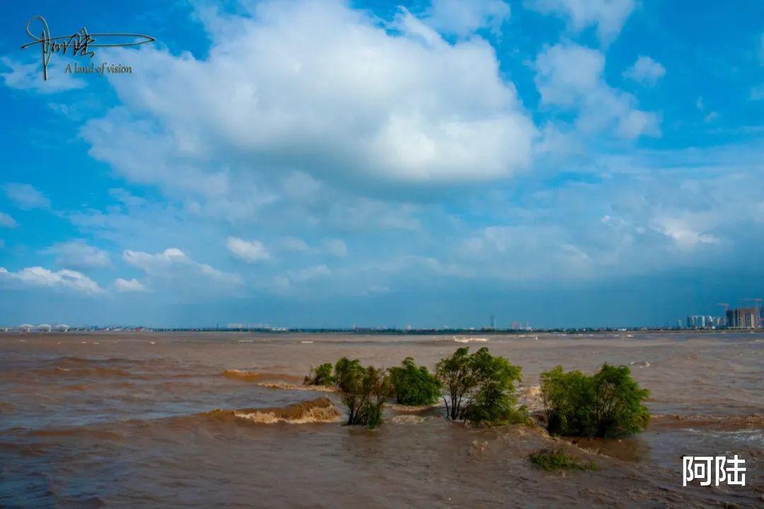 阿陆 在杭州总能看见勇敢的弄潮儿，于钱塘江之中乘风破浪
