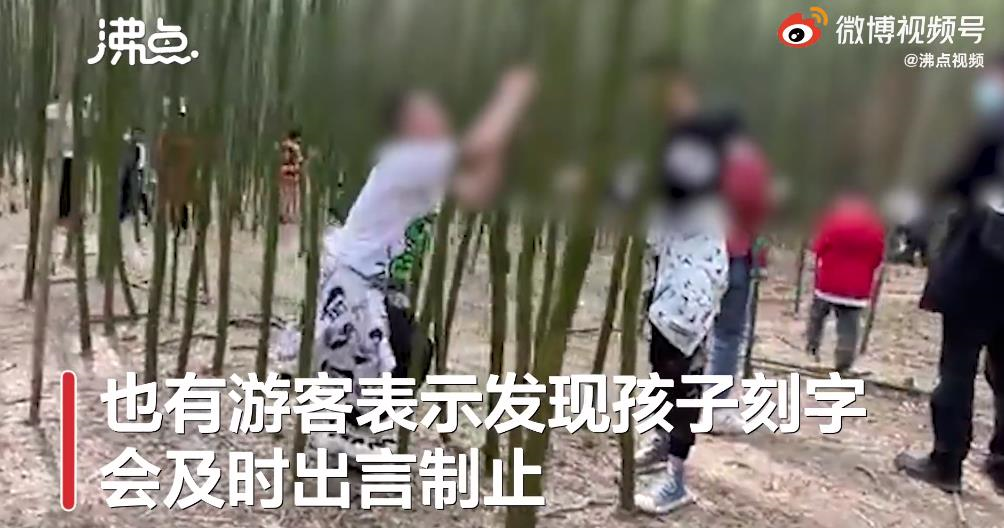 重庆青年报 请文明出行！少林寺竹林被上百游客刻字