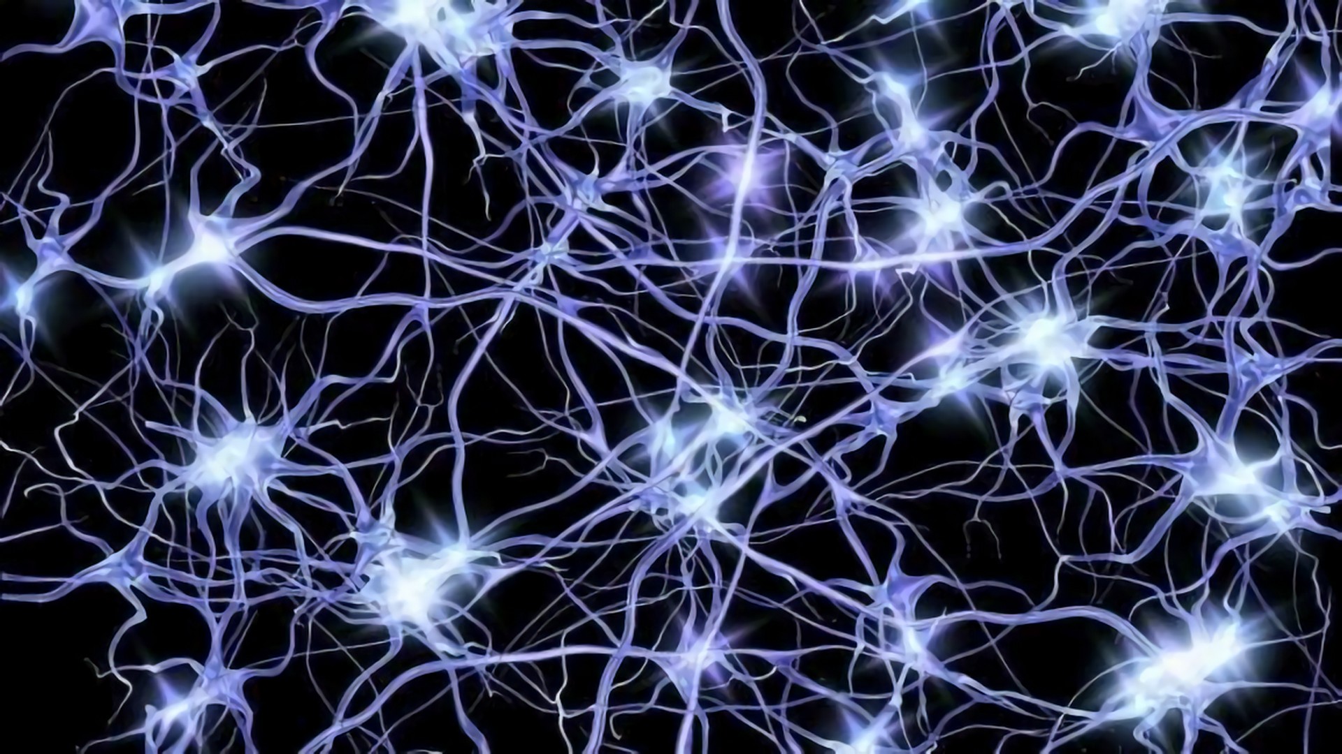 初级运动皮层中所有细胞类型的图谱，是首个全面脑细胞图谱