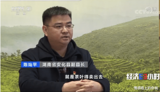 情感路上的你我|全网最火“网红县长”的短视频背后，藏着一个你不曾了解的世界