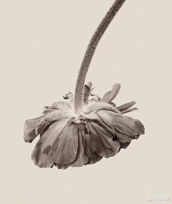 蜜桃心理|4个小细节，教你看透人的心理，很准