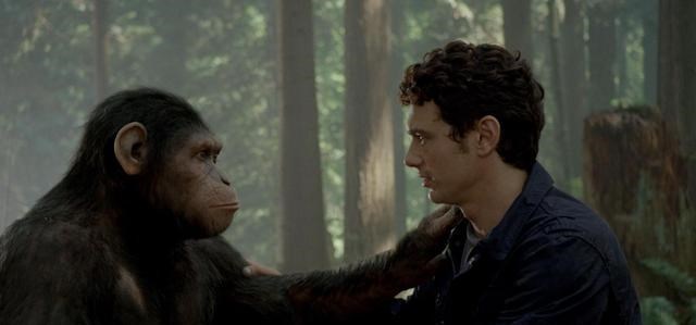 石器时代 白面卷尾候已学会使用石器工具，它们会进化为“新人类”吗？