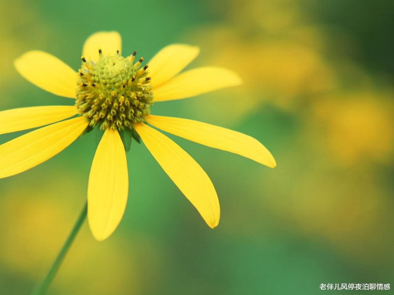 老伴儿风停夜泊聊情感 男人不爱了,才会这样做!离开才是上策