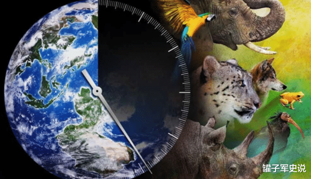 科学家 它们比熊猫还要珍贵,世界仅存38条,曾差点被几个醉汉灭绝