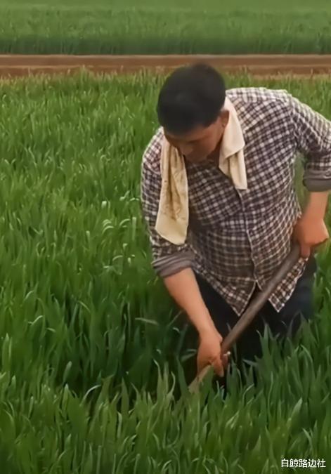 朱之文|大衣哥儿子带媳妇坐游艇！相对而坐显生疏，公公却在家下地干农活