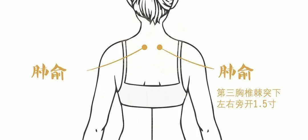 宫廷晟方|【艾·养生】鼻炎就要冬病夏治！此时艾灸，疗效抵过秋冬10倍