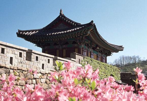 人鱼欧巴 宅男心中的三星千金女神 前夫是国内农村小伙做保安的 逆袭