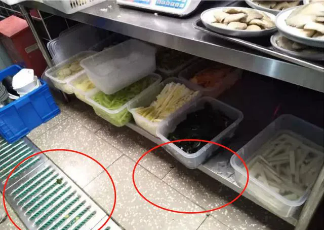 杜海涛|吴昕杜海涛黑幕曝光，官宣道歉：别用你的业余爱好，去挑战别人吃饭的本事