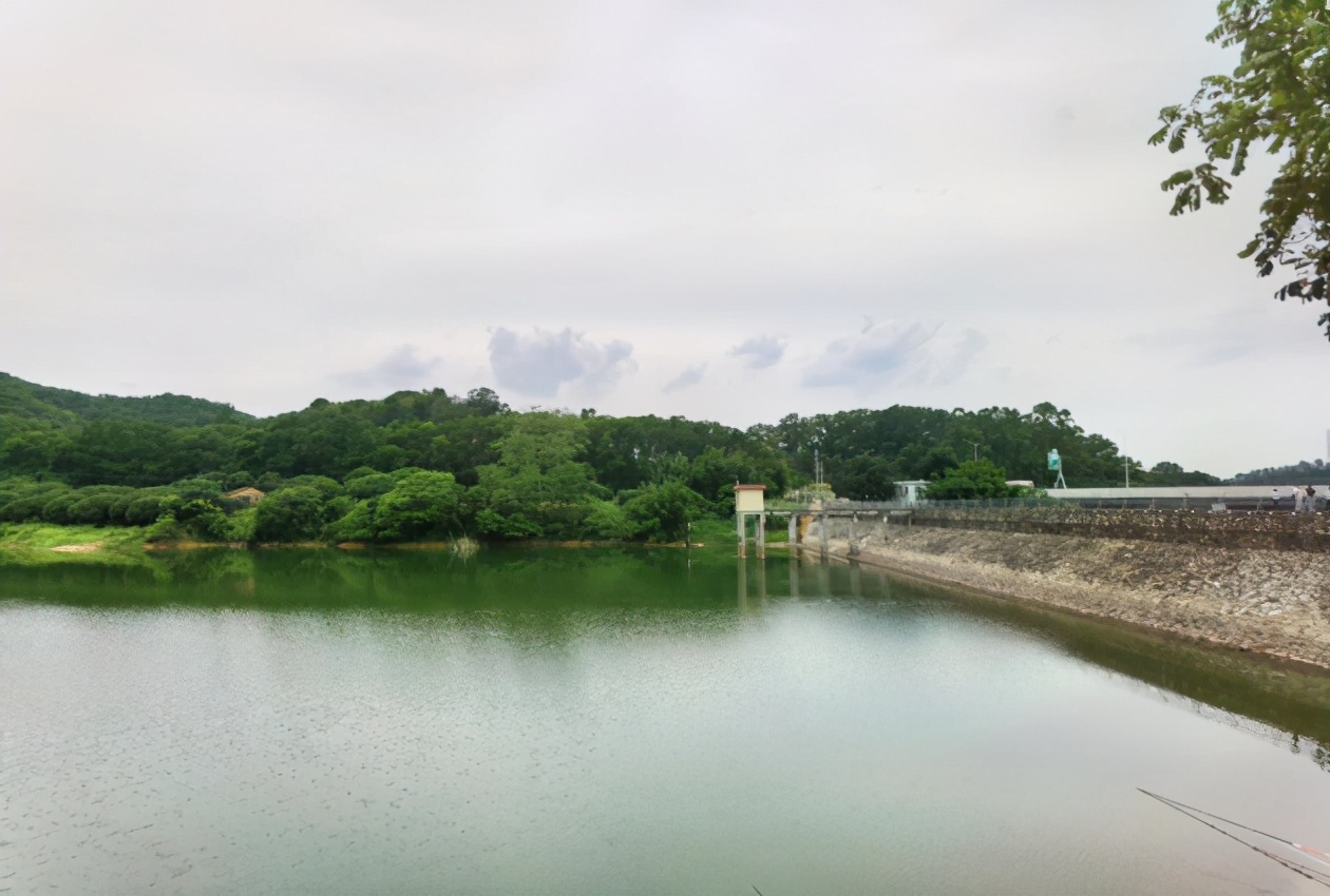 南粤海风 “美丽乡村”建设持续推进 良田村貌日新月异