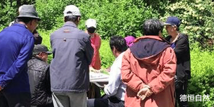 德恒自然 闭嘴，赶紧闭嘴！