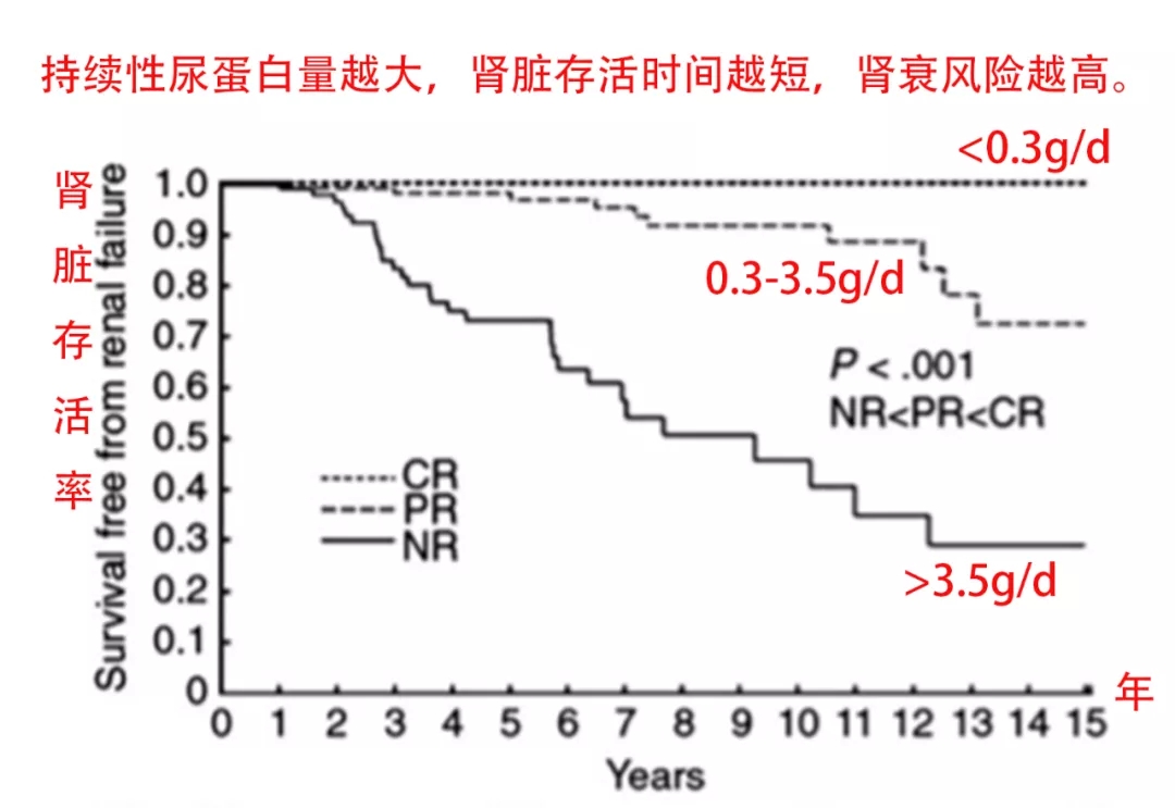 爱肾网|患了肾病,多久会尿毒症?这类肾病最快会毒!