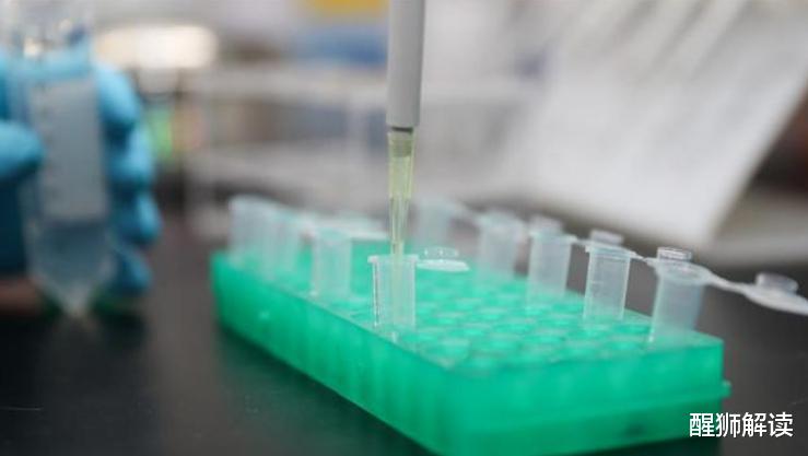 醒狮解读 大翻车！BBC再对中国“下手”，却被非洲网民狠狠“打脸”