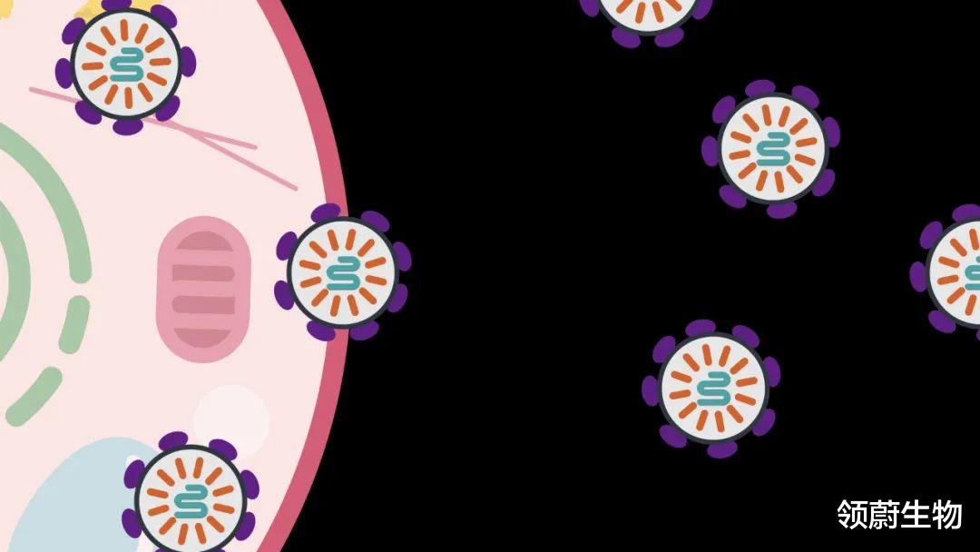 张锋 Science：张锋发明新mRNA递送技术，改造自人体逆转录病毒样蛋白