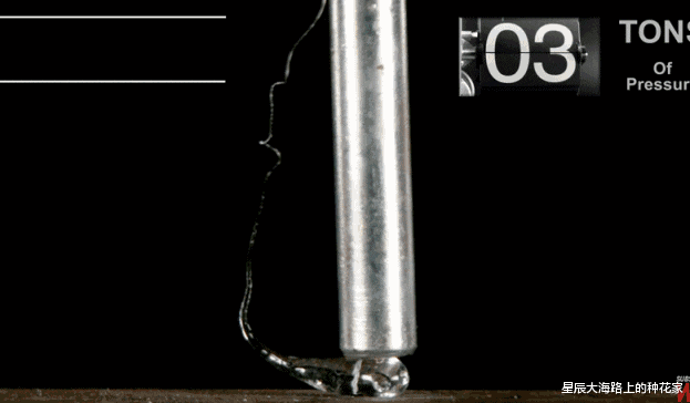 星辰大海路上的种花家 世界上最硬的鲁伯特之泪，扛得住子弹和铁锤，为什么一捏就碎！