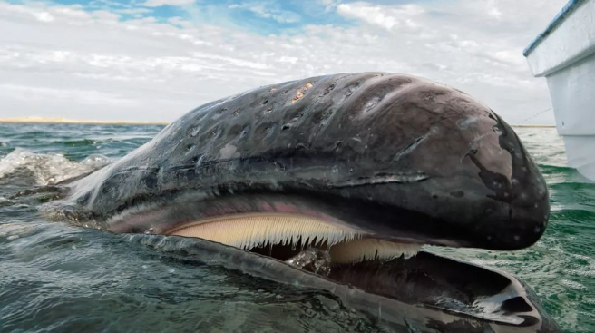 太空 在这个世界上，永生真的存在吗？如果我告诉你说有，你敢相信吗？