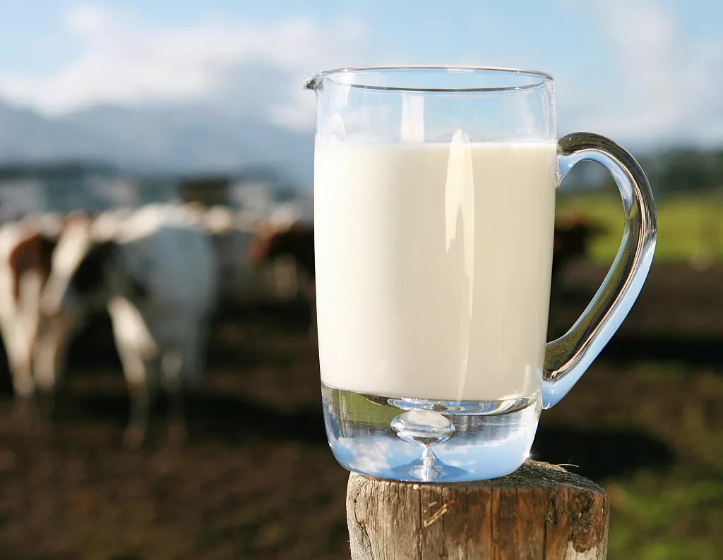 番茄|知俏:牢记九句瘦身小秘诀,减肥更简单!