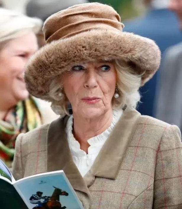 英国|卡米拉又获新任命！心里倍儿美，高调穿皮草亮相