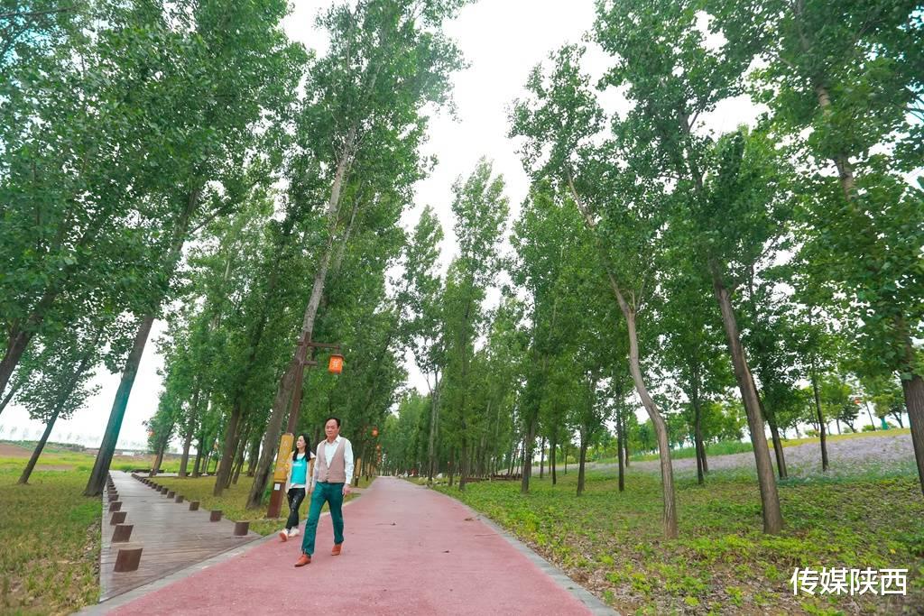 传媒陕西 春暖花开，太乙风雅绿道精彩呈现，真切感受到生态流入城市的惬意