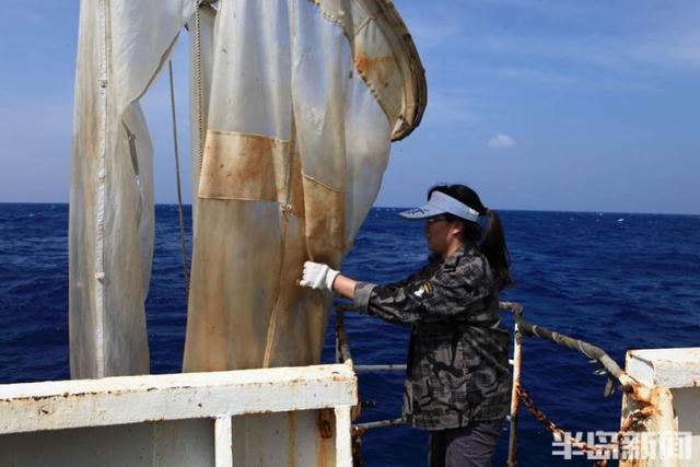 系外行星 新闻周刊丨深蓝逐梦人：每个脏活都是海洋科考，每次远行都要打卡探宝，每件标本都与时间赛跑