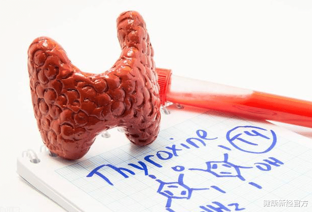 甲状腺|多所医院联合声明：“1塑料袋”，别再放冰箱，会加速甲状腺病变，趁早扔