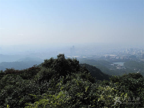 菜菜叶|摩星岭灵异事件是怎么回事？?摩星岭可以开车上去吗？