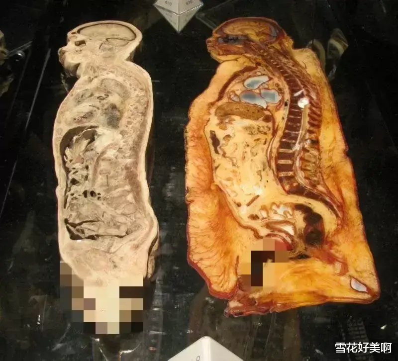 见所未见的30张图,让你姿势大涨!