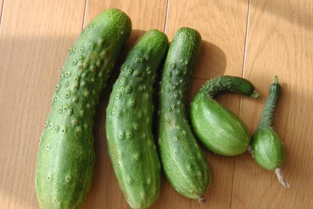 孕妇|免疫力低的人,建议5类蔬菜或尽量少吃,医生:别再交“智商税”