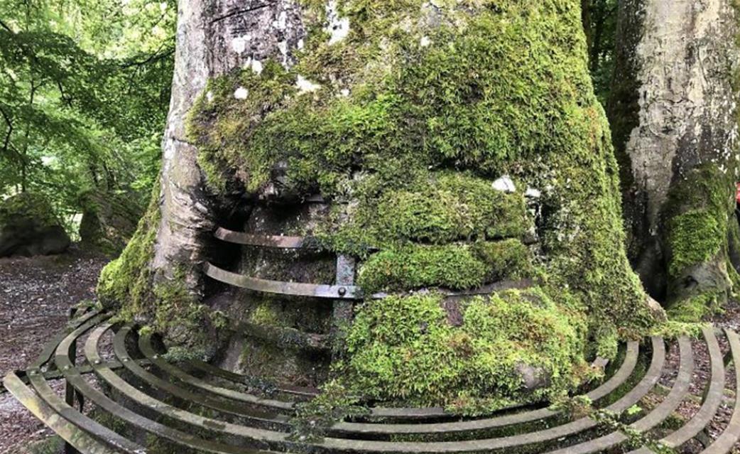 昆虫 14张图片告诉你:人类文明在大自然面前,是多么“不堪一击”!