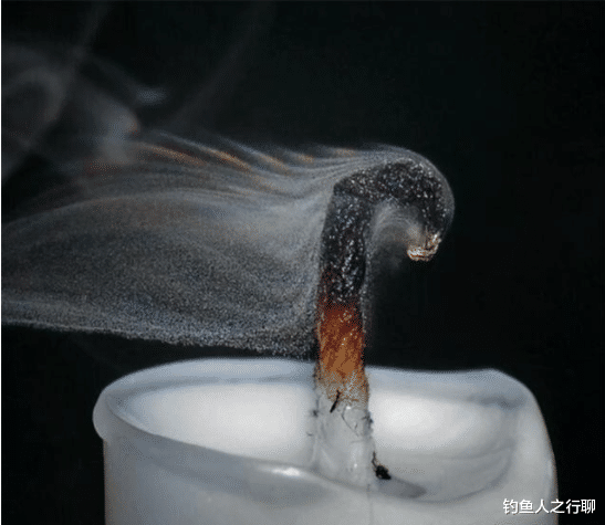 |27张活久见的照片，看完涨姿势了